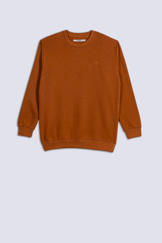 Camel Fleece Men's Sweatshirt.